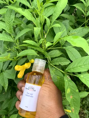 Gog Carrot Glow Oil