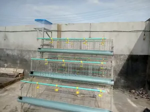 Poultry Equipment