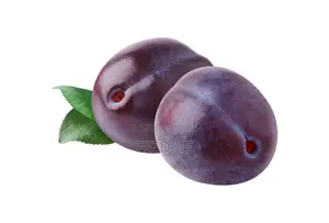 Fresh Plum