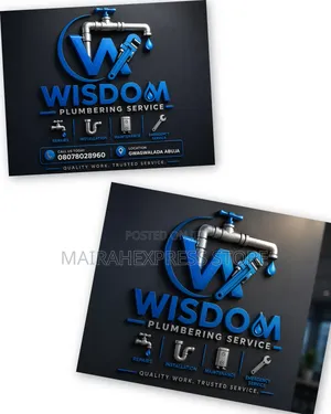 Professional Plumbering Service