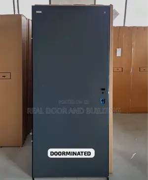 High Quality Plain Gray Israeli Security Door (728lah)