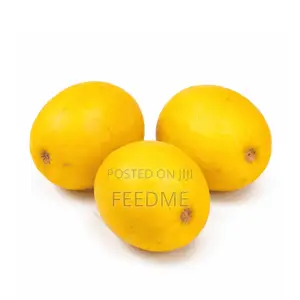 Golden Melon