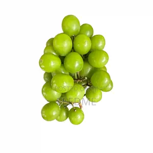 Green Grape