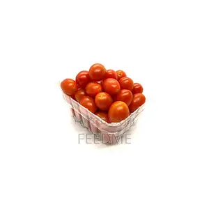 Fresh Tomato Jos