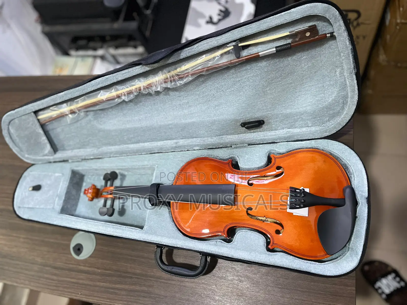 Professional 4/4 Violin