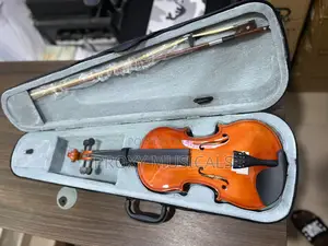 Professional 4/4 Violin