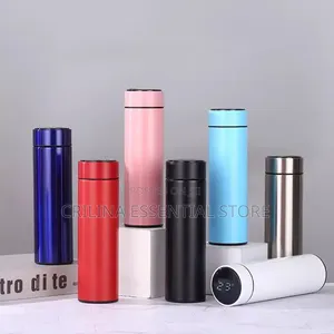 500ml Temperature Insulated Water Flask (Souvenir)
