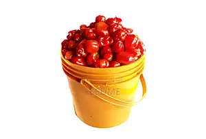 Habanero Pepper