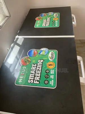 This Is a Standard Deep Freezer Working Very Fine