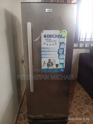Upright Freezer Perfect for Iceblock Business