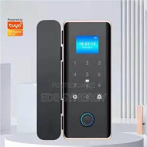 Sleek Intelligence Biometric Smartlock for Glass Doors