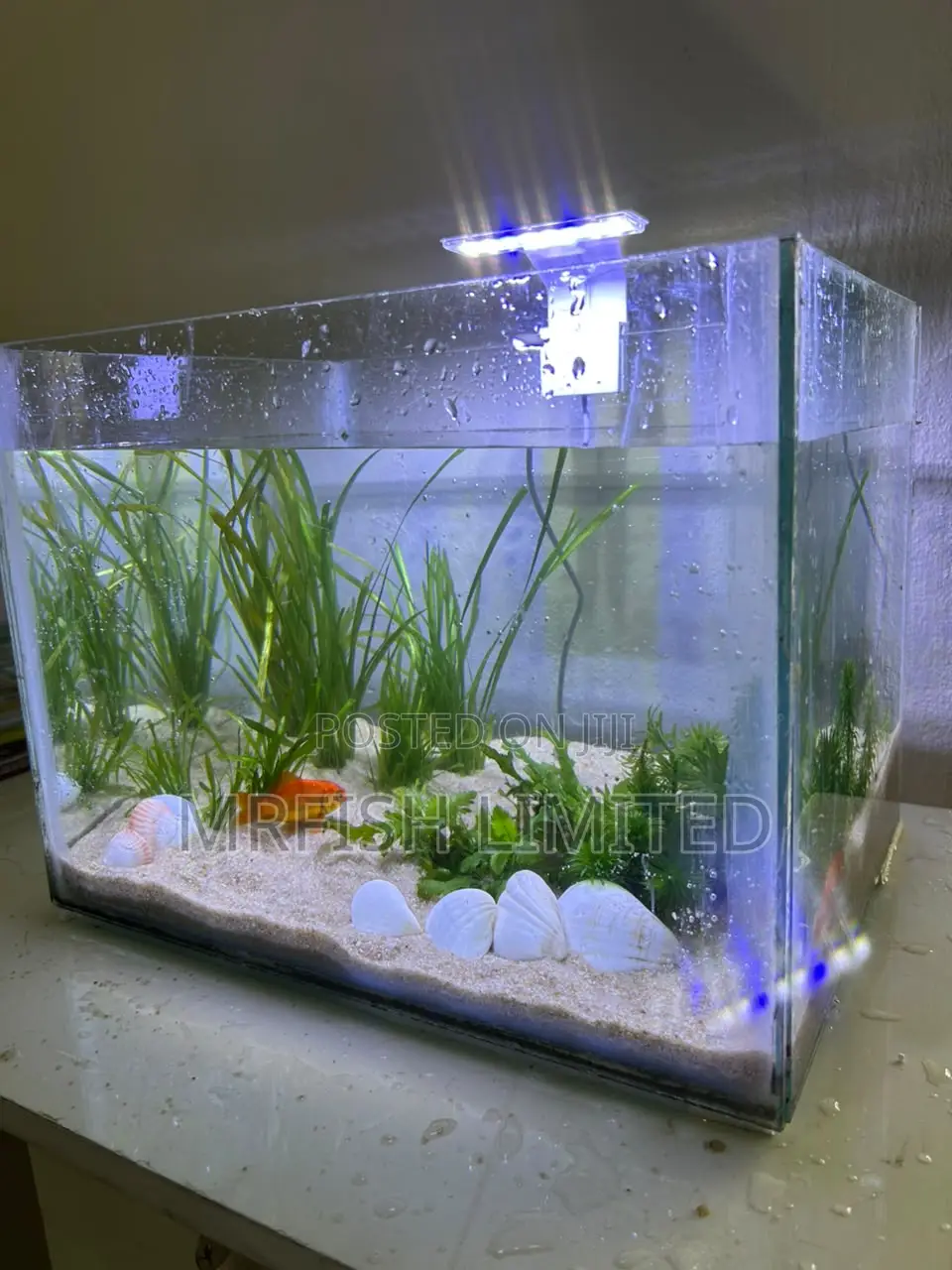 Table Top Aquarium