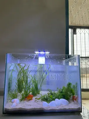 Table Top Aquarium