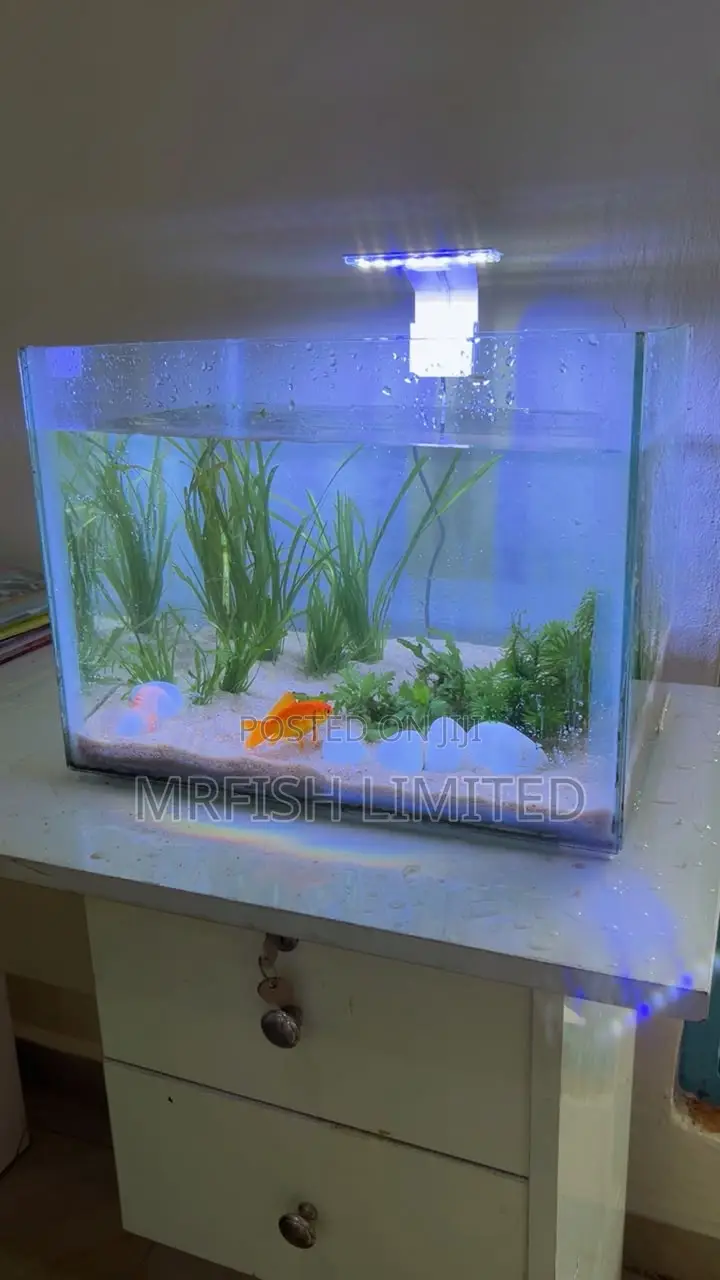 Table Top Aquarium