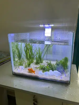 Table Top Aquarium