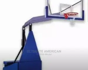 Standard Basketball Post and Net for Professional