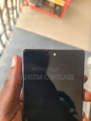 Samsung Galaxy Note 20 Screen