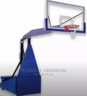 Standard Professional Basketball Post and Net