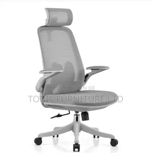 Ergonomic Mesh Office Chair