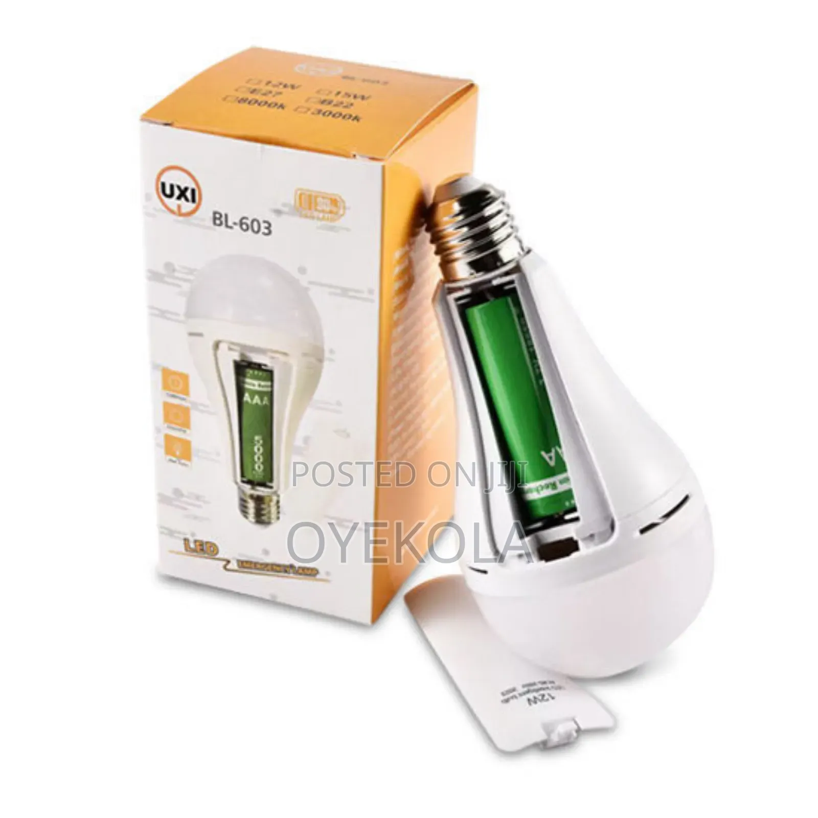 Rechargeable Light Bulb