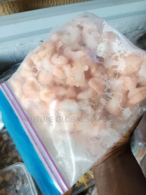 Fresh Shrimps