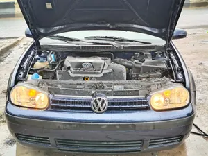 Volkswagen Golf 2004 Blue