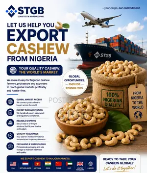 Cashew Export From Nigeria