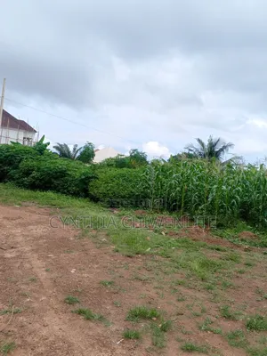 5 Plot Of Industrial Land For Sale In Enugu