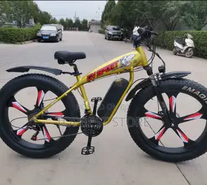 High Quality Adult Fat Electric Bike Is With Remote Light