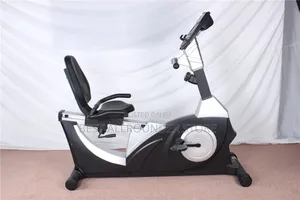 Commercial Recumbent Bike