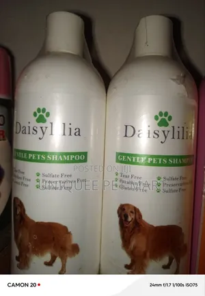 Shampoo Dog Shampoo