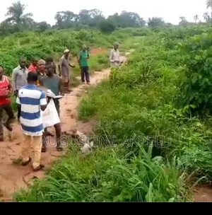 Bulk Farm Land