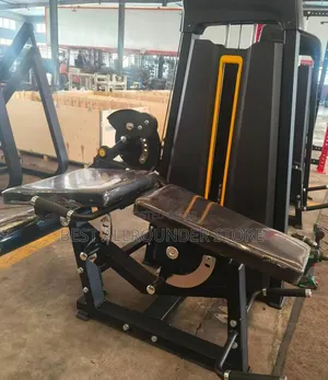 Commercial-Grade 2-in-1 Seated Leg Extension and Leg Curl Machine