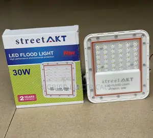 Street Akt Flood Light 30 Watts