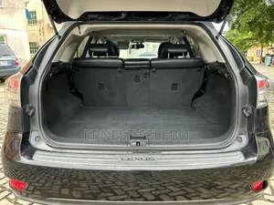 Lexus RX 2010 Black