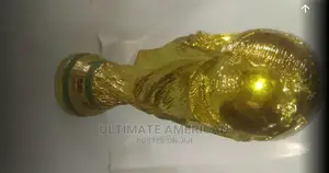 Professional World Cup Trophy