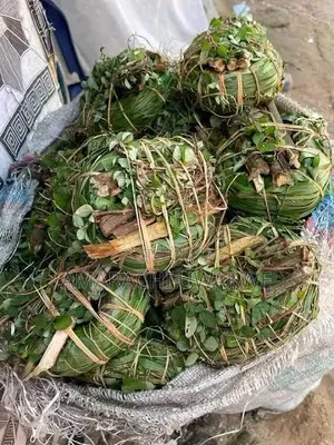 Ajumbasie Herb Leaves