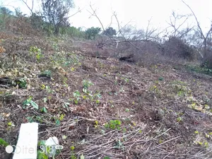 A Virgin Plot of Land for Sale