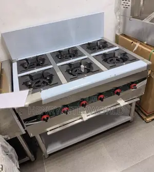 6 Burner Cooker