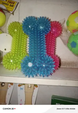 Bone Shape Toy Dog Toy