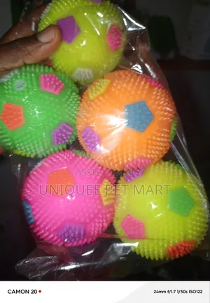 Small Round Ball Dog Toy
