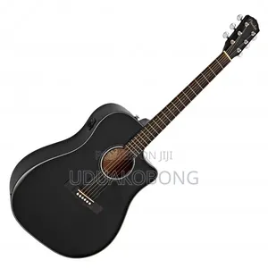 Fender Semi Acoustic Guitar