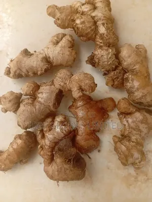 Ginger for Sale, Most Premium One. Nigeria Highest Quality Ginger