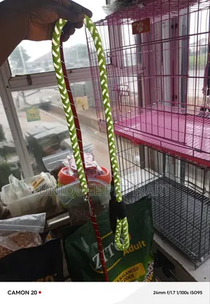 Rope Leash, Dog Leash