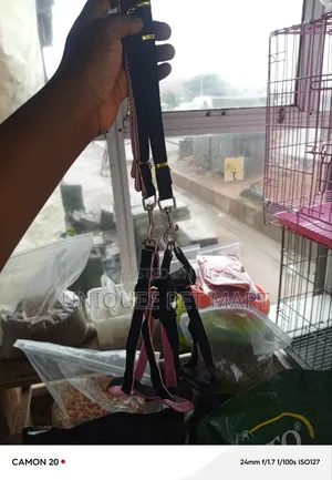 Jean Leash Dog Harness