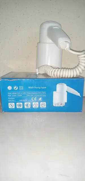 Wall Mounted Hotel Hair Dryer