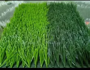 Artificial Grass.50mm Suitable for Football Playing.