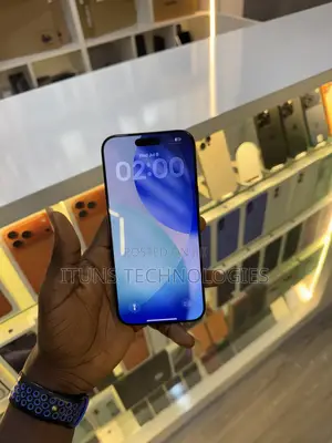 Apple iPhone 16 Pro Max 256 GB Gray