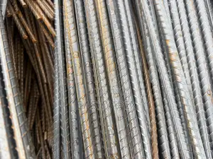 Rebar Lion, Lci, Phx, SFS TMT Reinforcement Iron Rods TMT