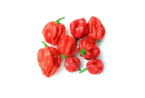 Bawa (Chilli Pepper)